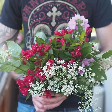 בית הארחה Zum Gellnwirt