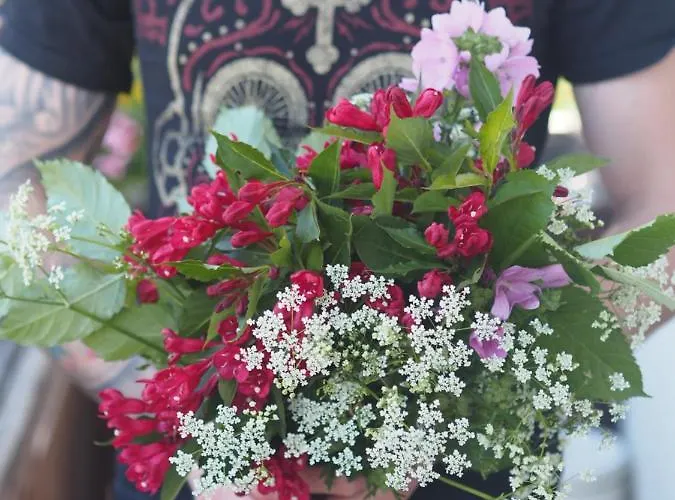 Guest house Zum Gellnwirt